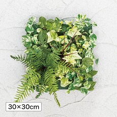 壁面アレンジ J ファーン 30×30cm (人工植物) /A
