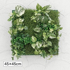 壁面アレンジD ポトス 45×45cm (人工植物) /A