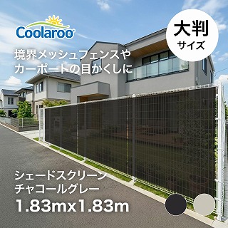 �V�F�[�h�X�N���[�� �`���R�[���O���[ 1.83×1.83m /A