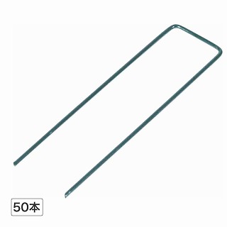 �l�H�Ńs�������O�50�{ /A