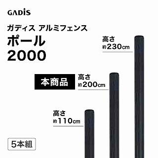 �K�f�B�X �A���~�t�F���X �|�[�� 2000 5�{�g /B