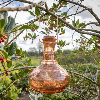 Igbv nMO Earth Orange /A