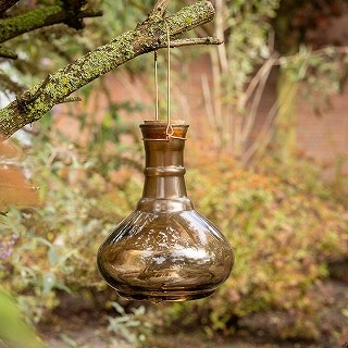 Igbv nMO Earth Brown /A