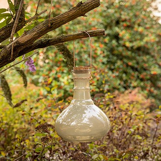 Igbv nMO Earth Gray /A