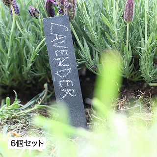 vc^O v[g 6Zbg bNXyt /A