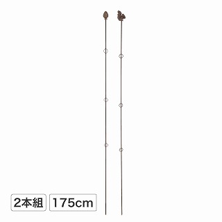 vcT|[gO175cm 2{g ڂ&X /B