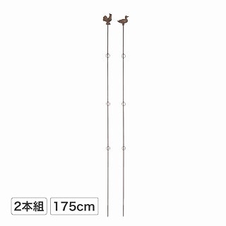 vcT|[gO175cm 2{g jg&Aq /B