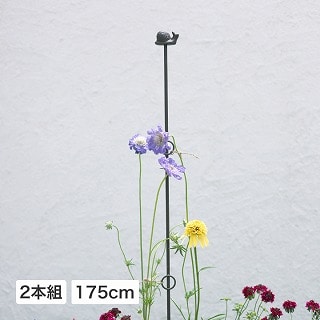 vcT|[gO175cm 2{g &J^c /B