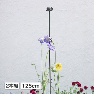 vcT|[gO125cm 2{g &J^c /A