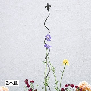 vcT|[gEF[u125cm 2{g & /A