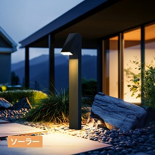 ExLights \[[|[Cg FLAG /A