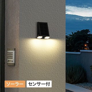 ExLights \[[EH[Cg Mantis /A