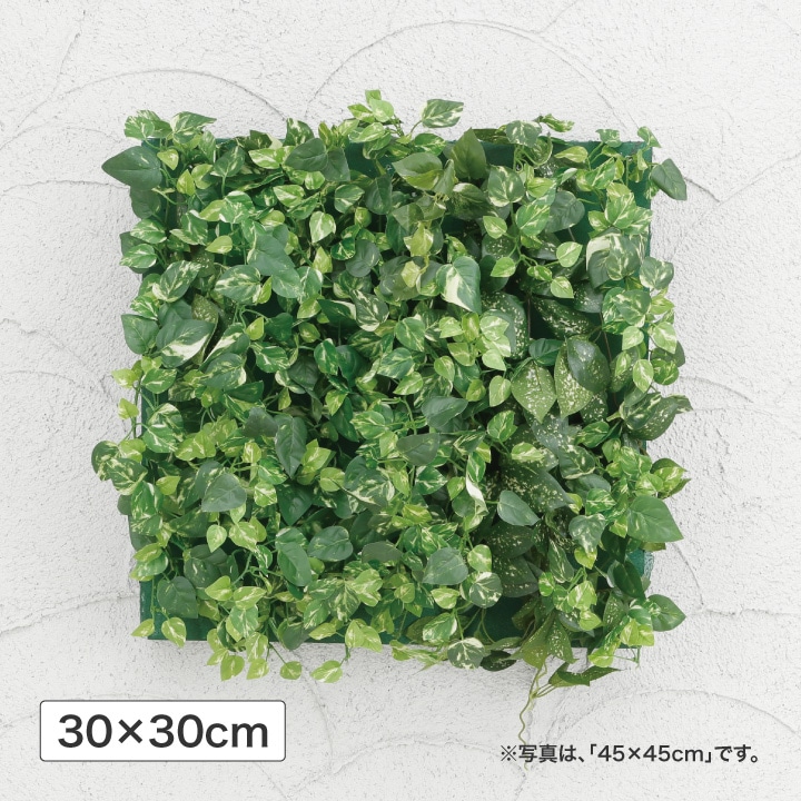 壁面アレンジ Ｂミニポトス 30×30cm (人工植物) /A