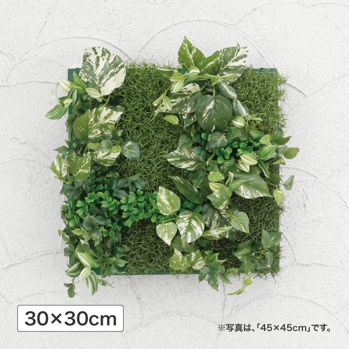 壁面アレンジ Ｄポトス 30×30cm (人工植物) /A