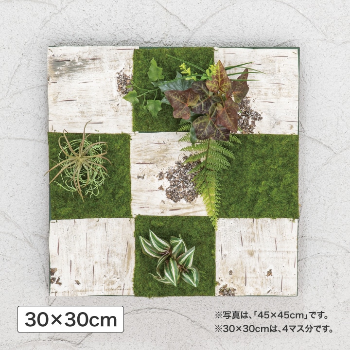 壁面アレンジ K 白樺 30×30cm (人工植物) /A