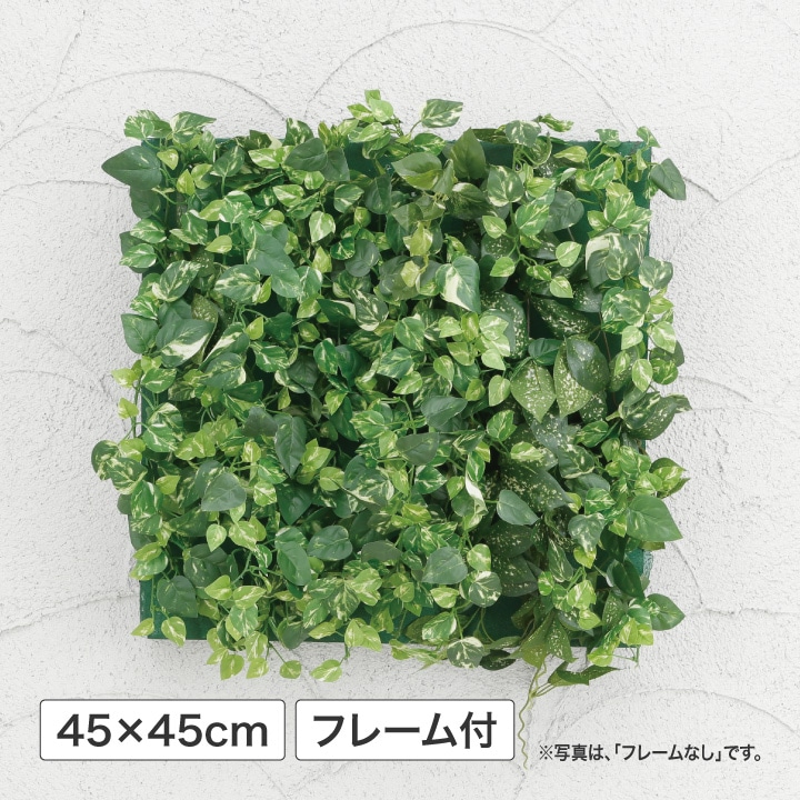 壁面アレンジB ミニポトス 45×45cm フレーム付 (人工植物) /A