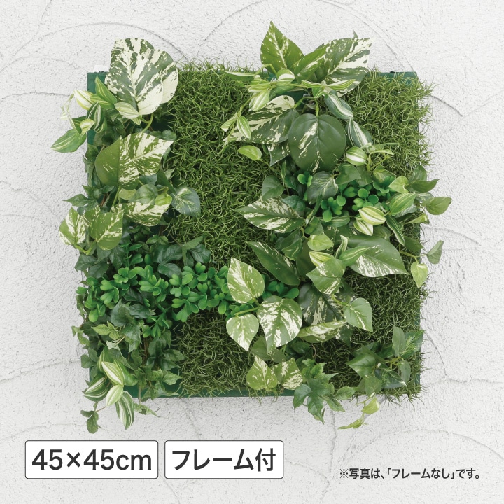 壁面アレンジD ポトス 45×45cm フレーム付 (人工植物) /A