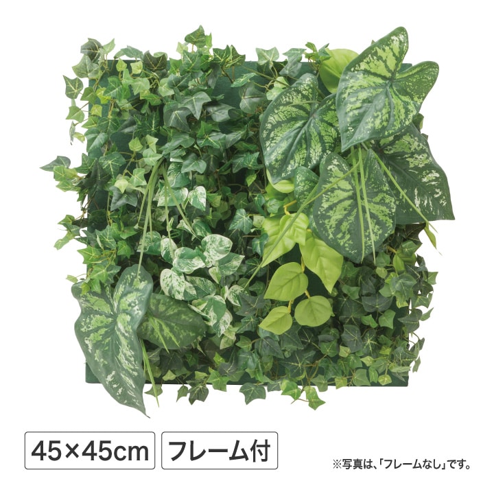 壁面アレンジF カラジューム 45×45cm フレーム付 (人工植物) /A