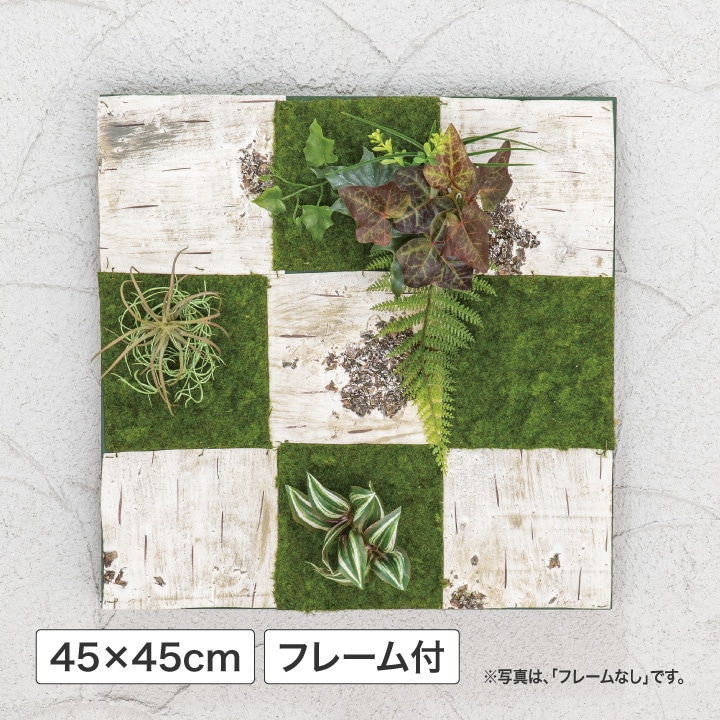 壁面アレンジ K 白樺 フレーム付 45×45cm (人工植物) /A