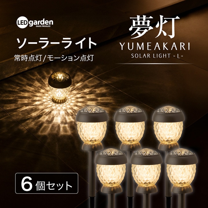 �\�[���[���C�g ������߂����� L 6�Z�b�g /A