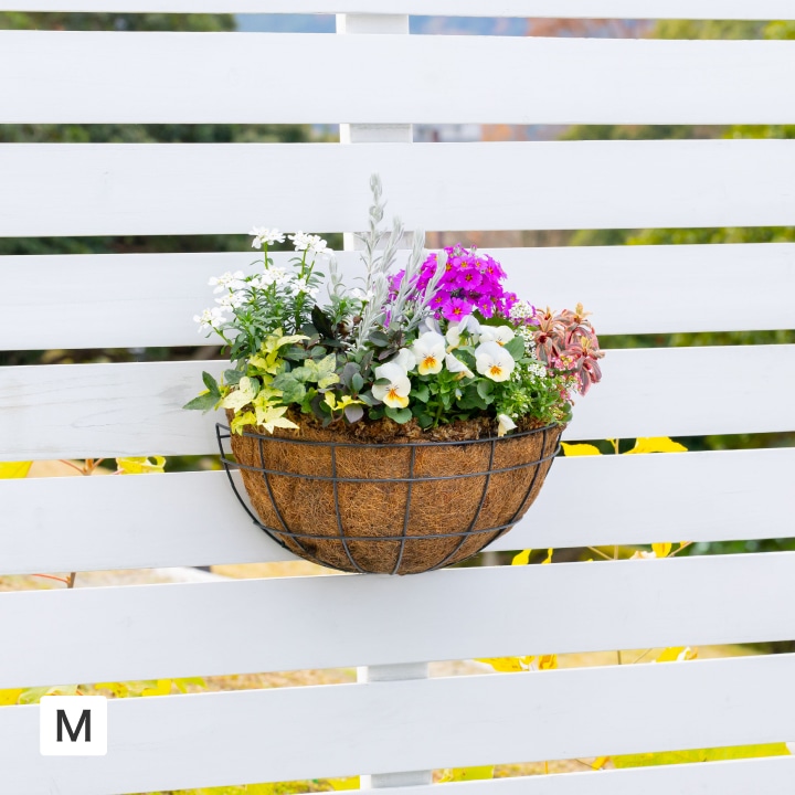 �E�H�[���n���M���O�o�X�P�b�g �l /A