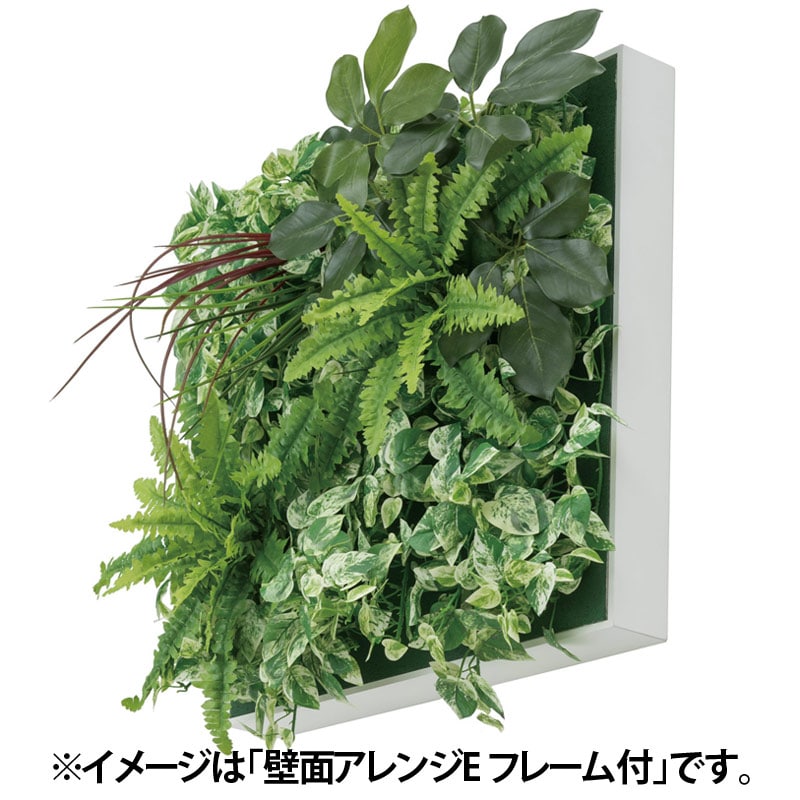 壁面アレンジA ドラセナ 45×45cm フレーム付 (人工植物) /A