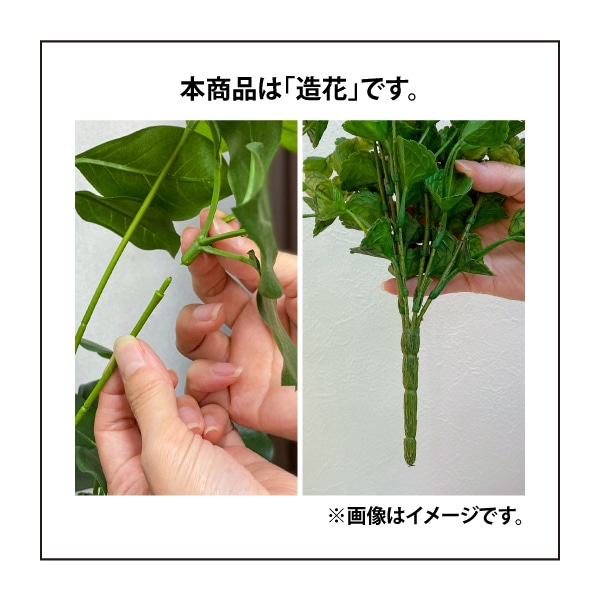 ネット付壁面アレンジ ポトス 50×50cm (人工植物) /A