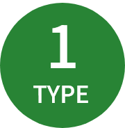 1 TYPE